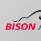 Bison FLG AG